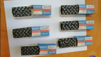 В Самарской области пенсионер хранил у себя дома несколько сотен боеприпасов и оружие