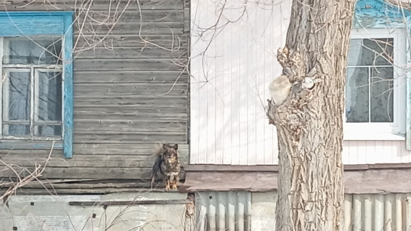 В 130 км от Самары обнаружен очаг смертельной болезни