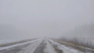 В Самарской области СК проверяет факты высадки детей из автобусов в полях