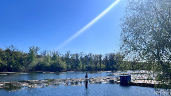 В Самарской области на воде погибли 28 человек