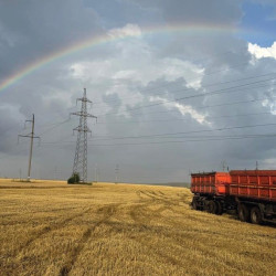 44 меры поддержки и рекордный урожай: итоги года для самарских аграриев