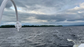 Жителям Самарской области 24 июня угрожает жёлтая опасность