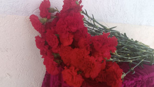 СК выясняет причину суицида двух школьниц под Самарой