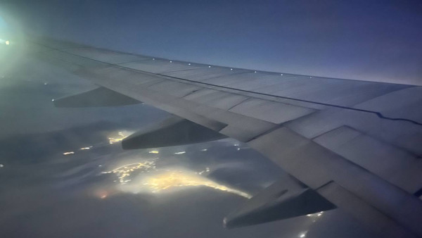 В небе над Самарой в двигатель самолета попала птица 