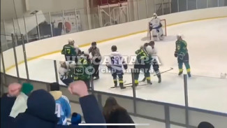 Ледовое побоище: в Самарской области массовая драка хоккеистов попала на видео