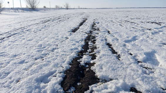 В Самарской области изменили порядок перевода земель сельхозназначения в другую категорию