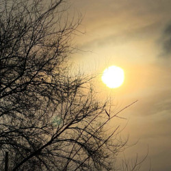 В Самарской области 29 марта дважды объявили угрозу атаки БПЛА