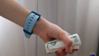 Студентка из Самары потеряла 48 тысяч рублей при аренде несуществующей квартиры