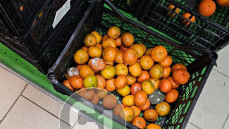 Стало известно, по какой цене в Самаре продают опасные мандарины