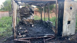 В Самарской области в пожаре погибли двое 9-летних детей