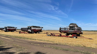 Самарские аграрии смогут экспортировать пшеницу и кукурузу по ставке 0 процентов