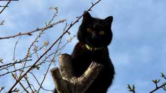 Самарцам рассказали, когда температура в регионе опустится до -3°C