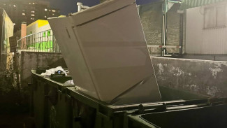 Содержимое мусорного контейнера в Самаре вызвало удивление и негодование 