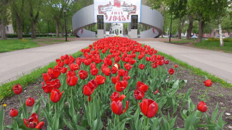 1,3 миллиона цветов украсят Самару к Дню Победы