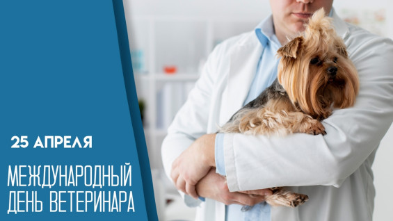 25 апреля — Международный день ветеринара: чем заняться в этот праздник