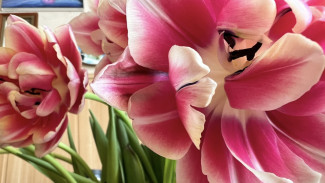 Гороскоп на 24 марта 2024 года: астрологи рассказали, кого ждет опасный день