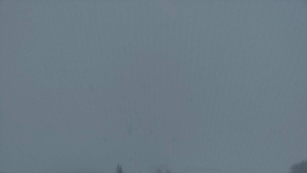 Автозимник «Шелехметь – Белые домики» открыли в Самарской области 7 января