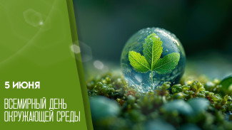 Всемирный день окружающей среды 5 июня: история и традиции глобального экологического праздника