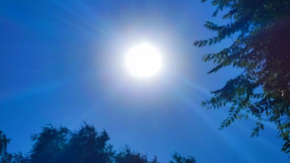 Самарские ученые рассказали о страшных последствиях аномальной жары 2024