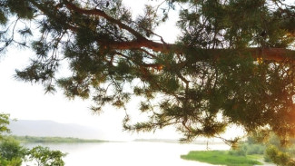 Директор турфирмы из Самары похитила у клиентов 745 000 рублей