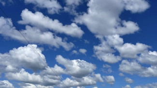 В Самаре в микрорайоне Волгарь в 10 раз превышена концентрация сероводорода в воздухе