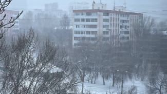 Самару ждут новые аномалии и погодная лихорадка в феврале 2024