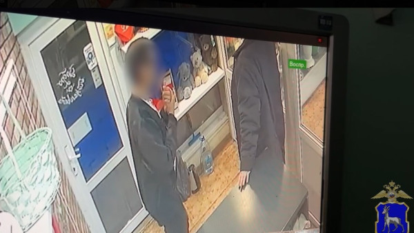 В Тольятти задержали грабителя, похитившего телефон у цветочного салона