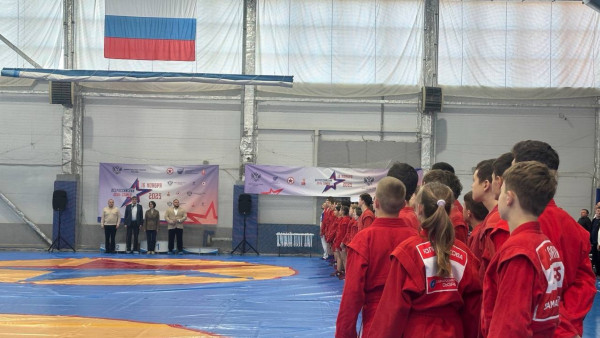 В Самаре прошли областные соревнования, посвященные Дню самбо