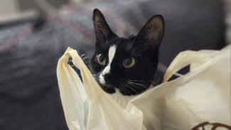 Гороскоп на 26 сентября: день опасных ситуаций для 3 знаков