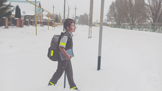 -34 °C : 5 февраля в Самаре отменяются занятия у младших школьников