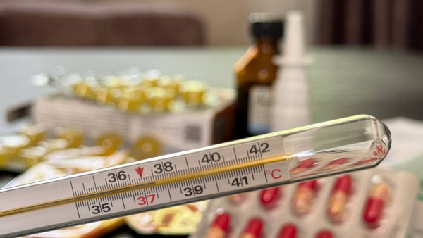 Гонконгский грипп может накрыть Самару в новогодние праздники