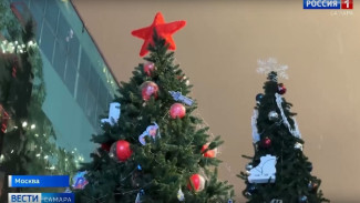 В деловом центре Москва-Сити появилась самарская елка с символичными для города игрушками