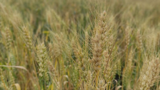 Народный календарь: 28 июля 2024. Эта примета в День Крещения Руси сулит неудачи на весь год