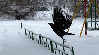 На Самарскую область обрушится мощный циклон с мокрым снегом 15 февраля