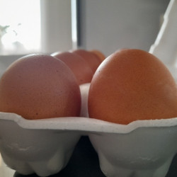 В Самаре участились случаи подмены куриных яиц в магазинах 