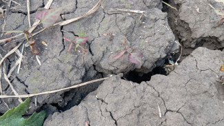 В Самарской области в четырёх муниципальных районах ввели режим ЧС