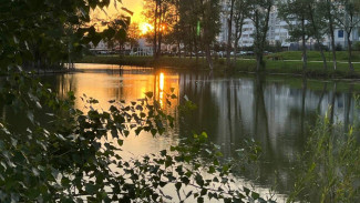 В Самаре привели в порядок озеро Дубовый Ерик