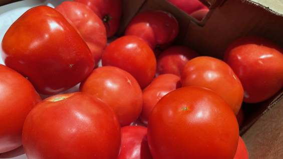 Самарцы просят проверить рынок на Южном шоссе