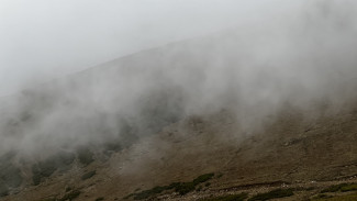 Самару окутает густой туман 24 марта 2023 года
