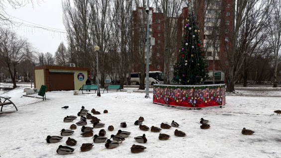 В Самарской области обещают плюсовую температуру на 4 января 2026 года