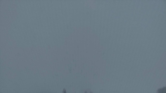 Самарскую область накроют сильный снег и метель 12 января