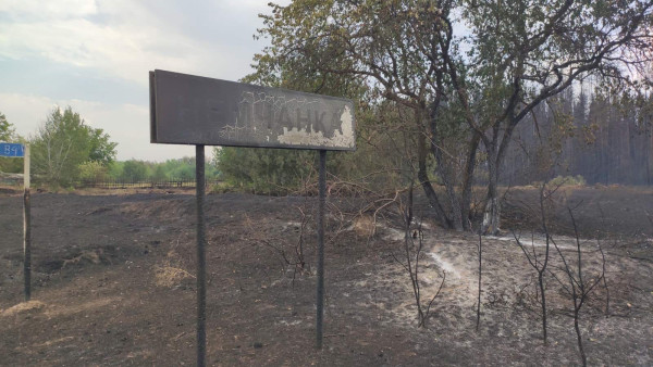 Третьи сутки в огне: хроника большого пожара в Самарской области