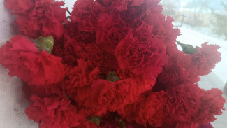 В Самарской области за год удвоилось число самоубийств