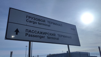 Через аэропорт Самары пропустили живых зверей, но забраковали мертвых