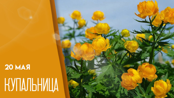 Приметы на 20 мая: что делать в Купальницу, чтобы привлечь счастье
