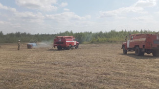 В Самарской области горела сухая трава 9 апреля