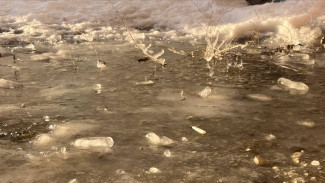 Желтый уровень опасности объявили в Самарской области из-за метели 20 февраля