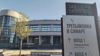 В Самаре хотят проверить условия работы в Третьяковке