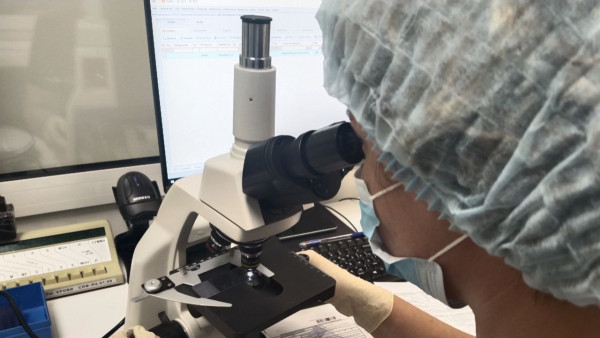 Самарцам рассказали про новый метод для быстрого обнаружения возбудителя шигеллеза