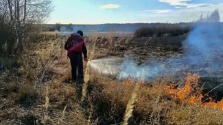 В Самарской области 7 апреля загорелась трава на 2,5 га